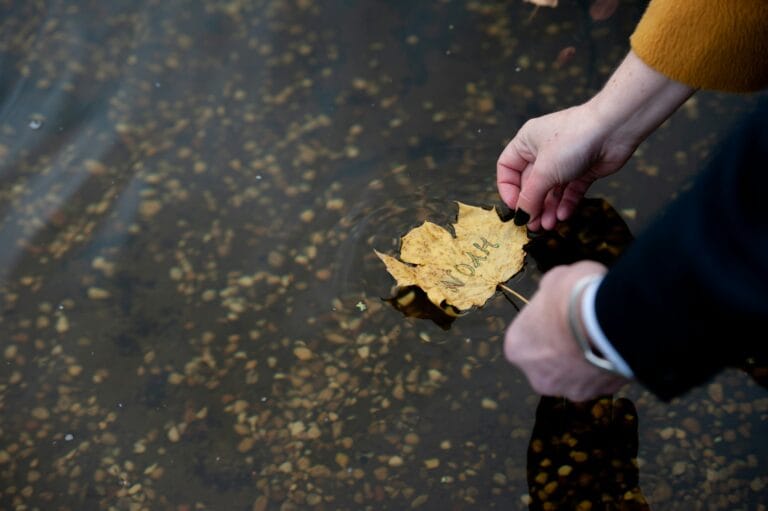 Mains tenant une feuille d'érable sur l'eau