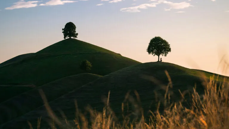 Complexe funéraire Lachance